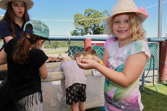 Horse and Quad bike tour with a visit to a Petting Zoo - Price, transport, and practical value