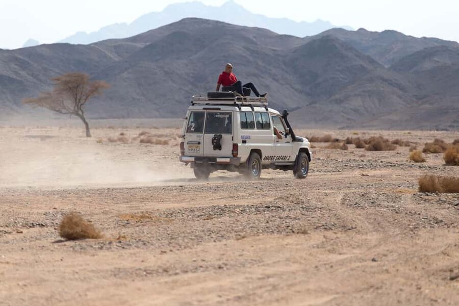Hurghada: ATV Quad, Jeep and Buggy Safari with BBQ Dinner - Buggy driving over the dunes