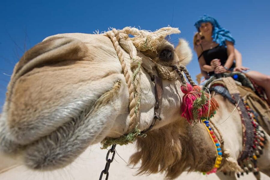 Hurghada: ATV Quad, Jeep and Buggy Safari with BBQ Dinner - Tanoura dance, oriental music, and fire