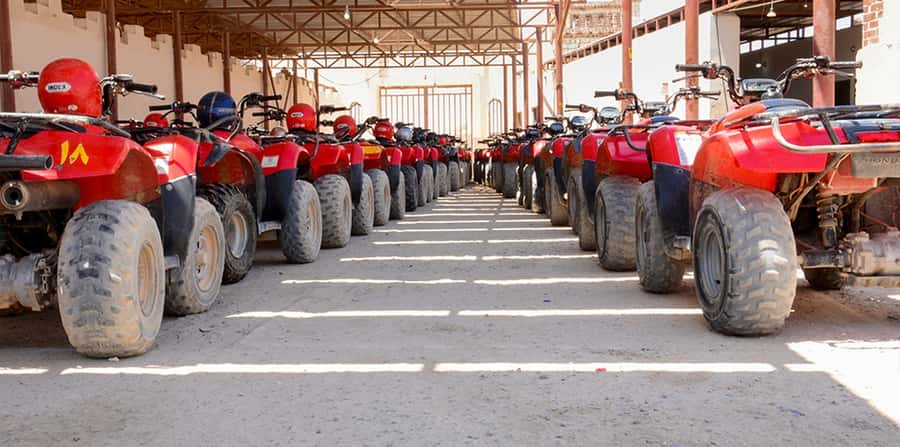 Hurghada: ATV Tour with Camel Ride, Dinner Show & Stargazing - Who will get the most from this experience