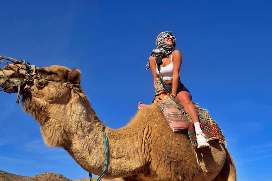 Hurghada: Desert Quad, Bedouin Village, and Camel Ride Tour - The Red Sea mountains from a low seat