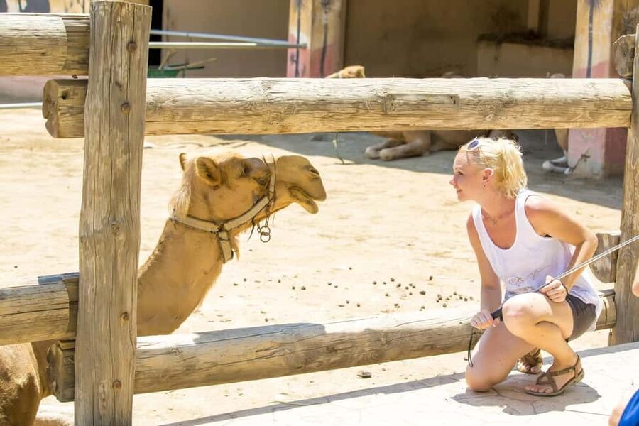 Hurghada: Mega Jeep safari, ATV & Bedouin vibe, and Dinner - The camel ride and Bedouin camp