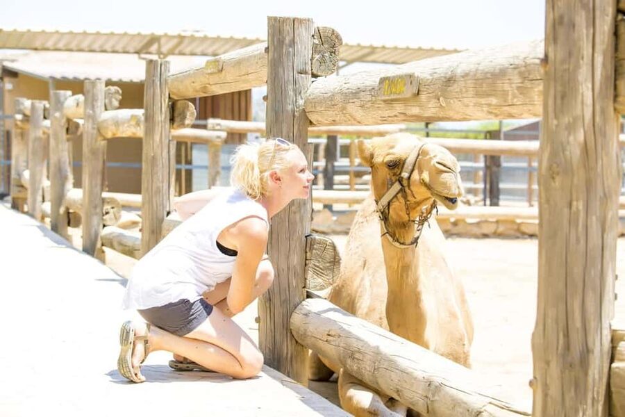 Hurghada: Mega Jeep safari, ATV & Bedouin vibe, and Dinner - Guides and the quality of the day