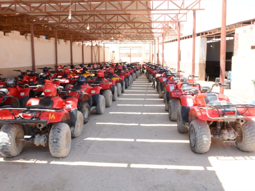 Hurghada Quad & ATV Ride with Camel, Desert Vibes & Sea View - Quad and horse riding in one morning