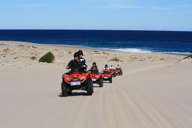 Hurghada: Sea and Mountains ATV Quad Bike Tour - Who will enjoy this outing most
