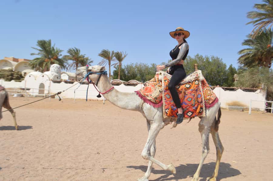 Hurghada: Sunset Quad Bike, Camel w/ Opt Stargazing and BBQ - Sunset, Red Sea views, and the camel stop