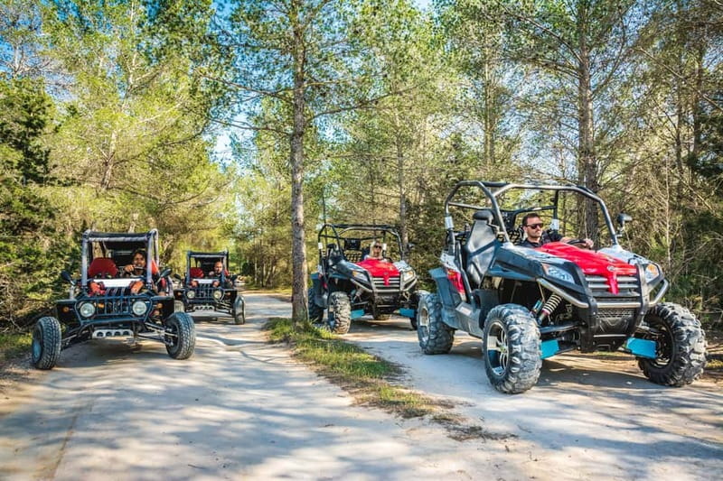 Ibiza: Buggy Excursion to Explore Beaches and Unique Views - What the feedback tells me about the experience
