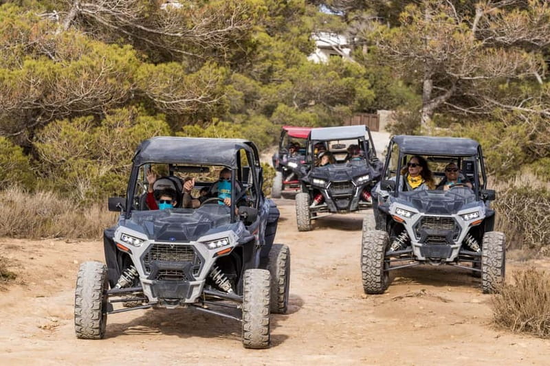 Ibiza: Guided Buggy Tour with Beach Stops - Taking the mountain and nature routes