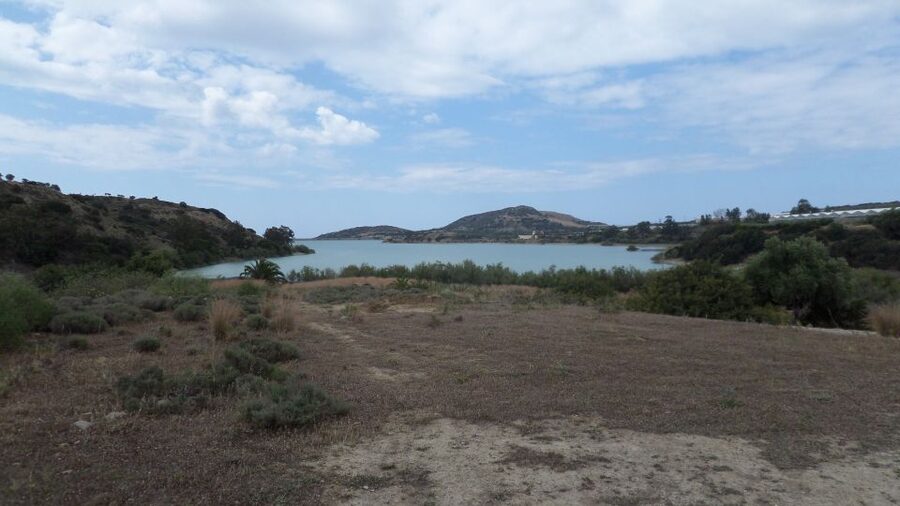 Ierapetra: Quad ATV 4x4 Exceptional Day in South Crete 2025 - Olive groves, stalactites, and the first mountain stops