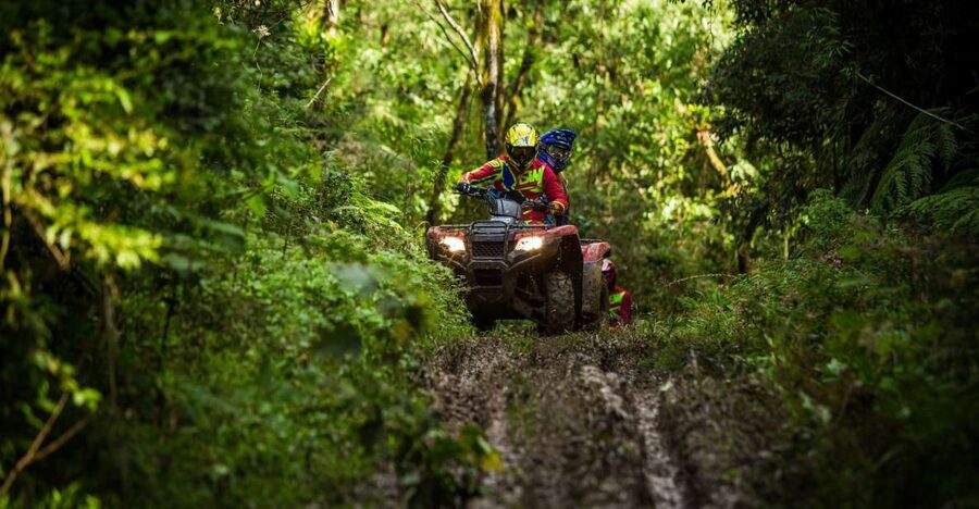 Istanbul: Belgrad Forest ATV Tour with Ziplining Option - Forty minutes on forest tracks