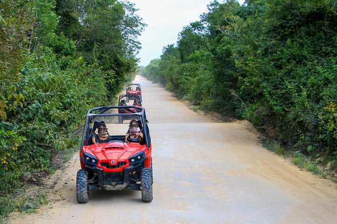 Jungle Buggy Tour from Playa del Carmen Including Cenote Swim - Sharing a Can-Am buggy and taking the wheel