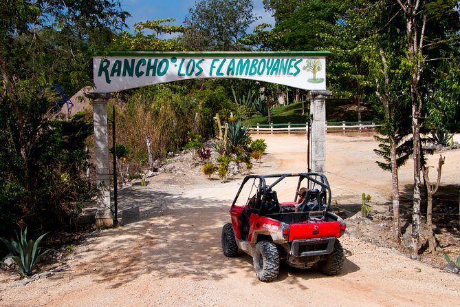 Jungle Buggy Tour from Playa del Carmen Including Cenote Swim - What the $110.29 price really buys