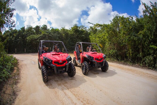 Jungle Buggy Tour from Playa del Carmen Including Cenote Swim - Fernando, Rigo, and the human side of the trip