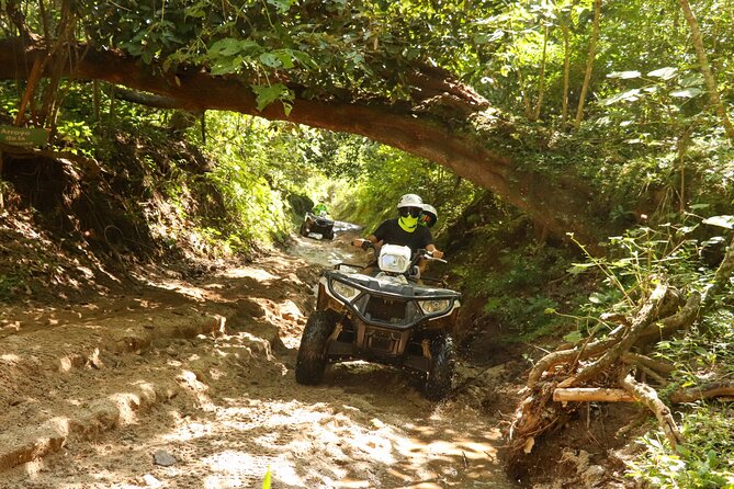 Jungle double ATV Tour "El Mirador" (ride tandem on ATV) - Pickup points and timing