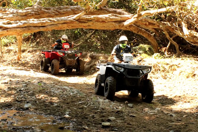 Jungle Single ATV Tour "El Mirador" - From Bucerias to Rancho El Jaguar