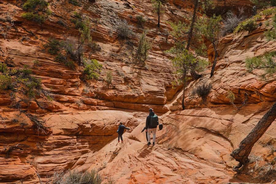 Kanab: Coral Pink Sand Dunes UTV, Slot Canyon & Sand Surfing - Is the $134 price worth it?