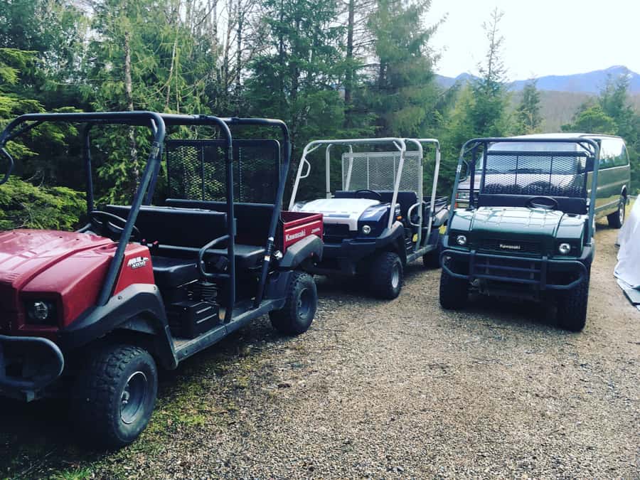 Ketchikan: Tongass Forest Alaska Bigfoot ATV Ride and Hike - Starting at Ketchikan’s cruise docks