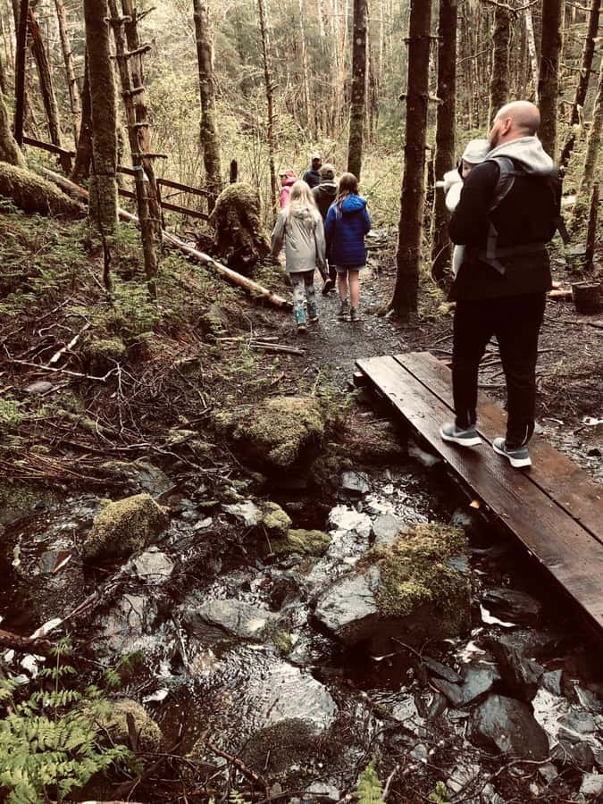 Ketchikan: Tongass Forest Alaska Bigfoot ATV Ride and Hike - Walking beneath the moss and spruce