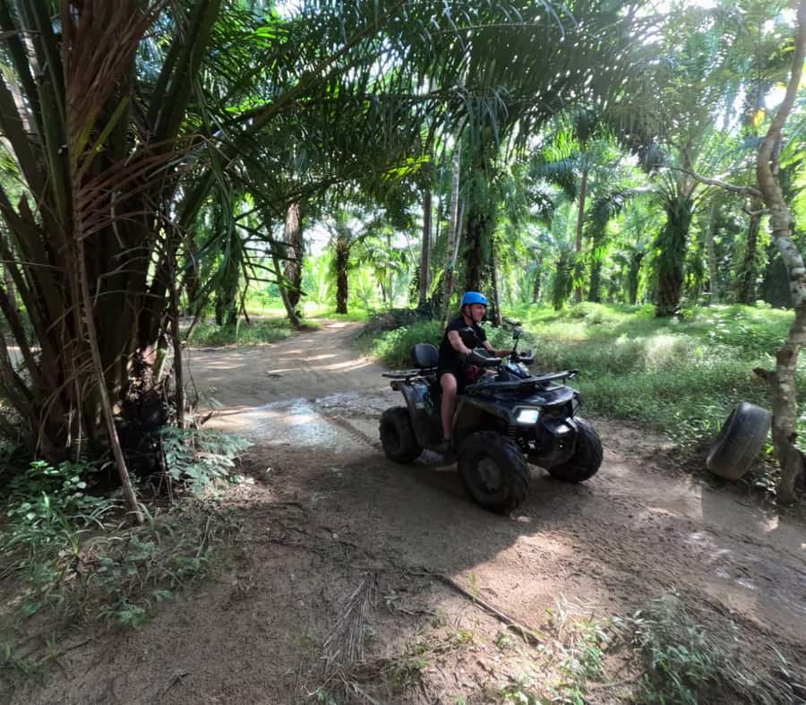 Khao Lak Multi-Adventure: Bamboo Rafting, ATV & Elephants - Meeting elephants at the sanctuary