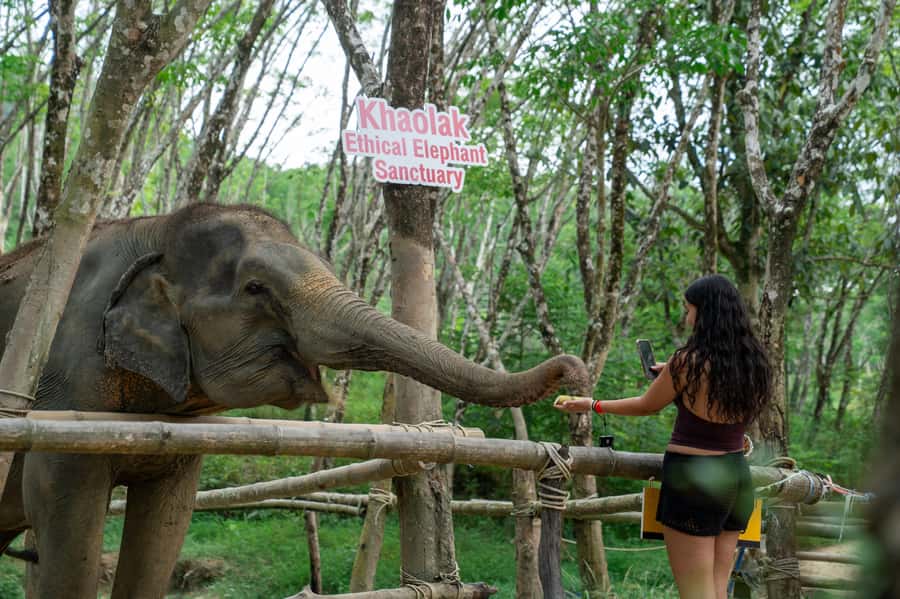 Khao Lak Multi-Adventure: Bamboo Rafting, ATV & Elephants - Practical advice before you book