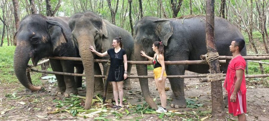 Khao Lak Wild ATV Quad Bike & Gentle Giants Experience - Cancellation and booking flexibility