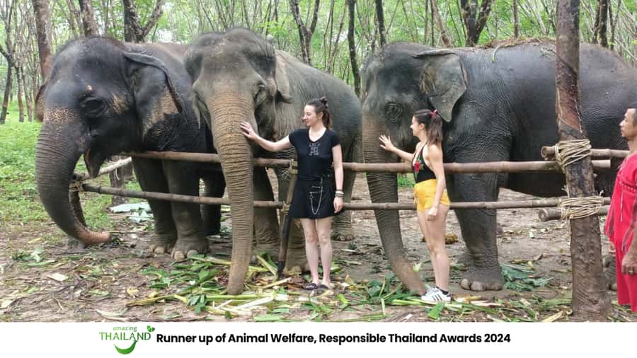 Khao Lak Wild ATV Quad Bike & Gentle Giants Experience - A two-part Khao Lak outing with very different moods