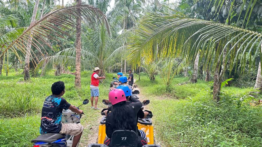 Khao Lak Wild ATV Quad Bike & Gentle Giants Experience - Is the elephant encounter truly hands-off?