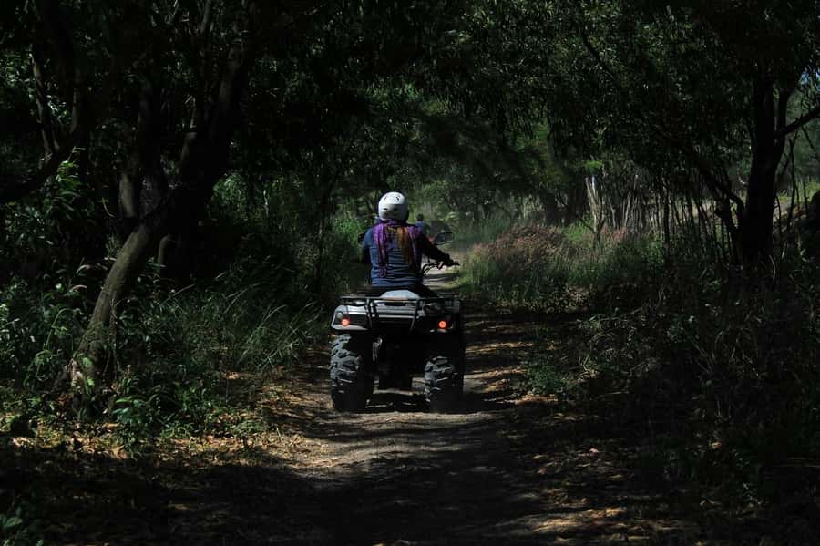 KhaoSok: Green Trails ATV Safari in Khao Sok - Is $75 a fair price?