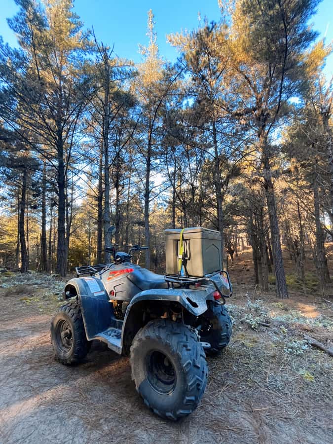 Knysna: Guided Quad Bike Tour in the Forest - What the Guides Add