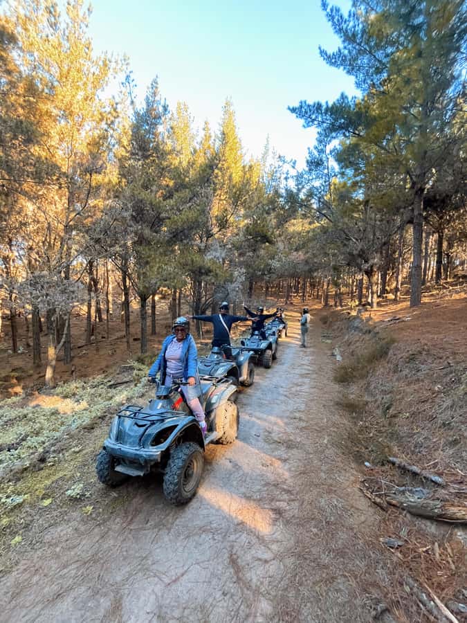 Knysna: Guided Quad Bike Tour in the Forest - One Hour on the Quad Bike