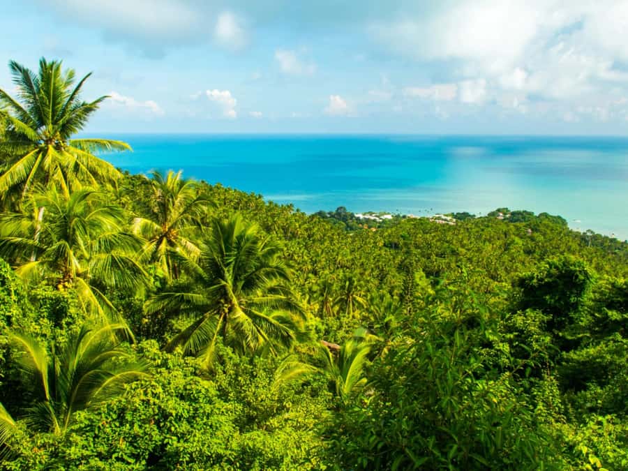 Koh Samui: Jungle, Mountains and Waterfalls ATV Tour - Key points at a glance