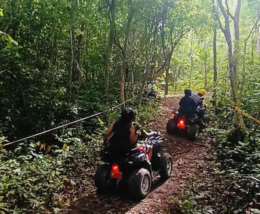 Koh Samui: Jungle, Mountains and Waterfalls ATV Tour - Is $93 good value?