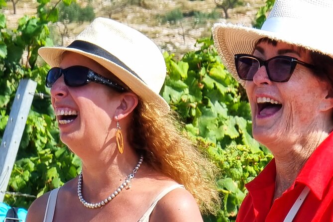 Korcula Buggy (Official) Safari Tour -Local Food & Wine Tasting- - Who should book this Korčula outing?