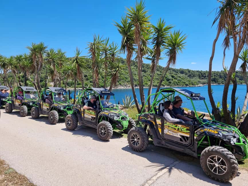 Korcula: Buggy Safari with Local Food and Wine Tasting - The drive through vineyards, olive groves, and old stone borders