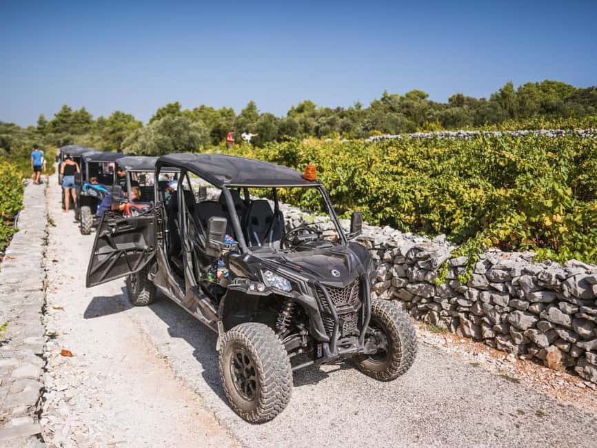Korcula Buggy Safari With Wine Tasting - Olive groves, vineyards, and Korcula’s rural character