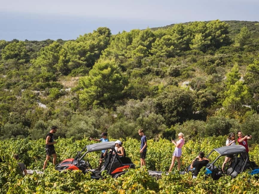 Korcula Buggy Safari With Wine Tasting - What to pack and how to prepare
