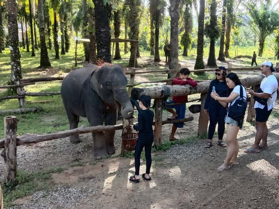 Krabi Elephant bathing and Atv adventure (30min/30min) - Two Krabi Activities in One Day