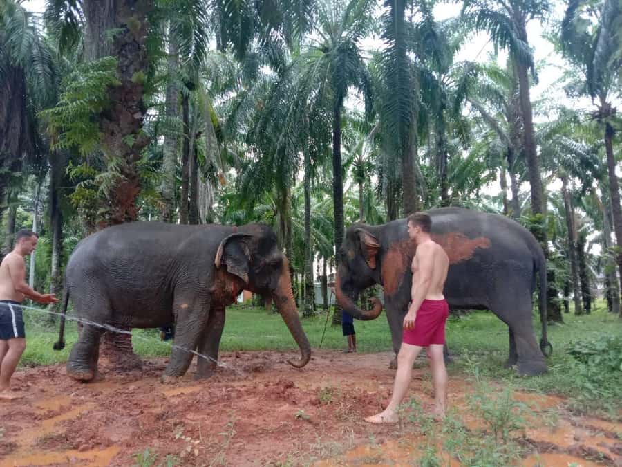 Krabi Elephant bathing and Atv adventure (30min/30min) - The 15-Minute Walk to the Elephants