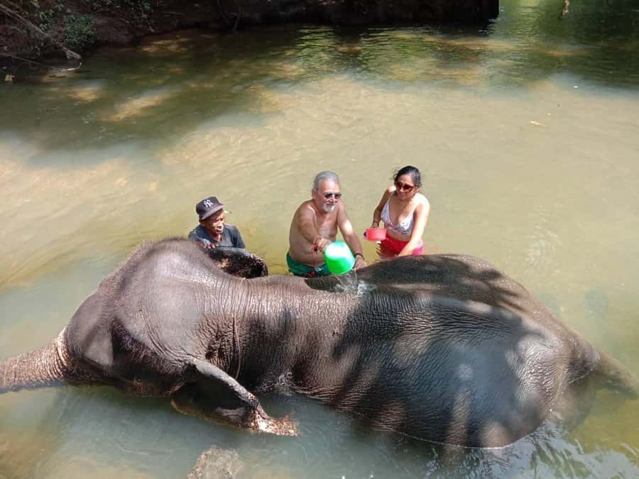 Krabi Elephant bathing and Atv adventure (30min/30min) - The Transfer to the 200cc ATV Course