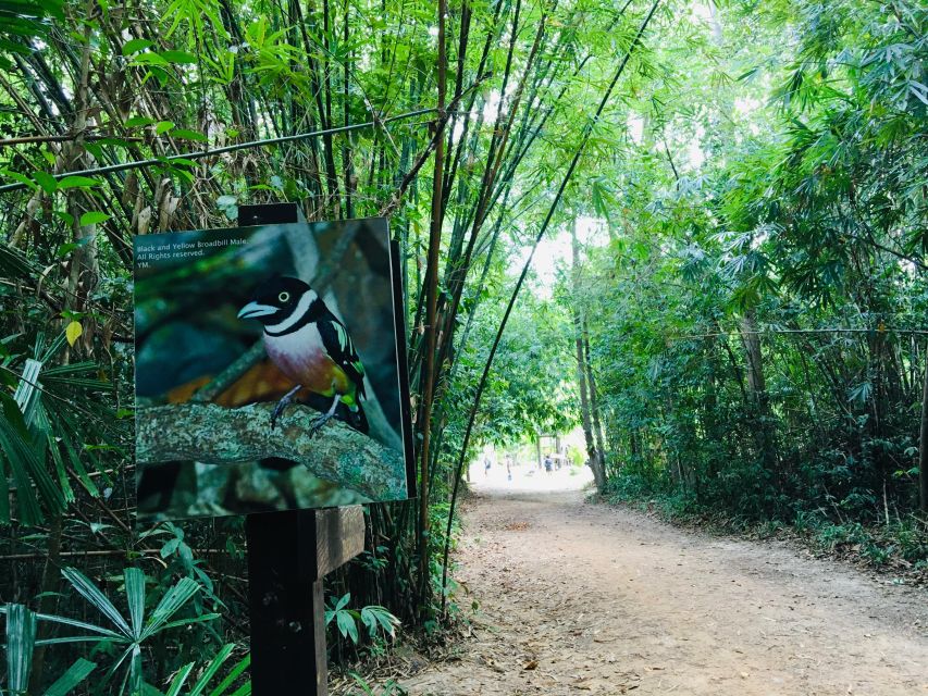 Krabi: Emerald Pool and Hot Spring Waterfall with ATV Riding - Should you book the Emerald Pool, hot spring, and ATV tour?