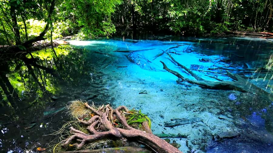 Krabi: Emerald Pool and Hot Spring Waterfall with ATV Riding - Walking into the Khao Phra Bang Khram Nature Reserve