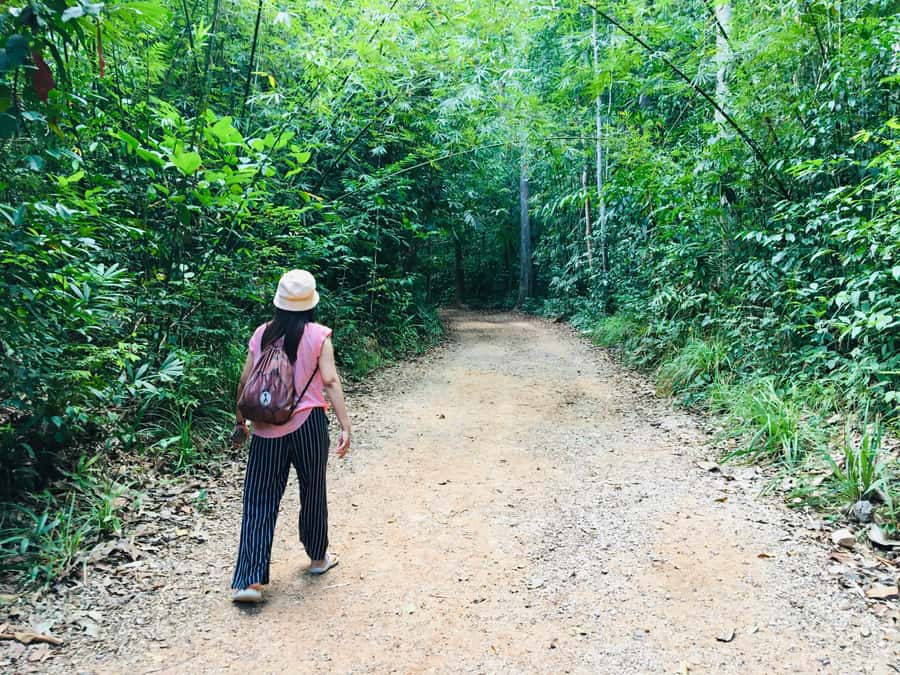 Krabi: Emerald Pool and Hot Spring Waterfall with ATV Riding - The ATV ride through Krabi’s jungle