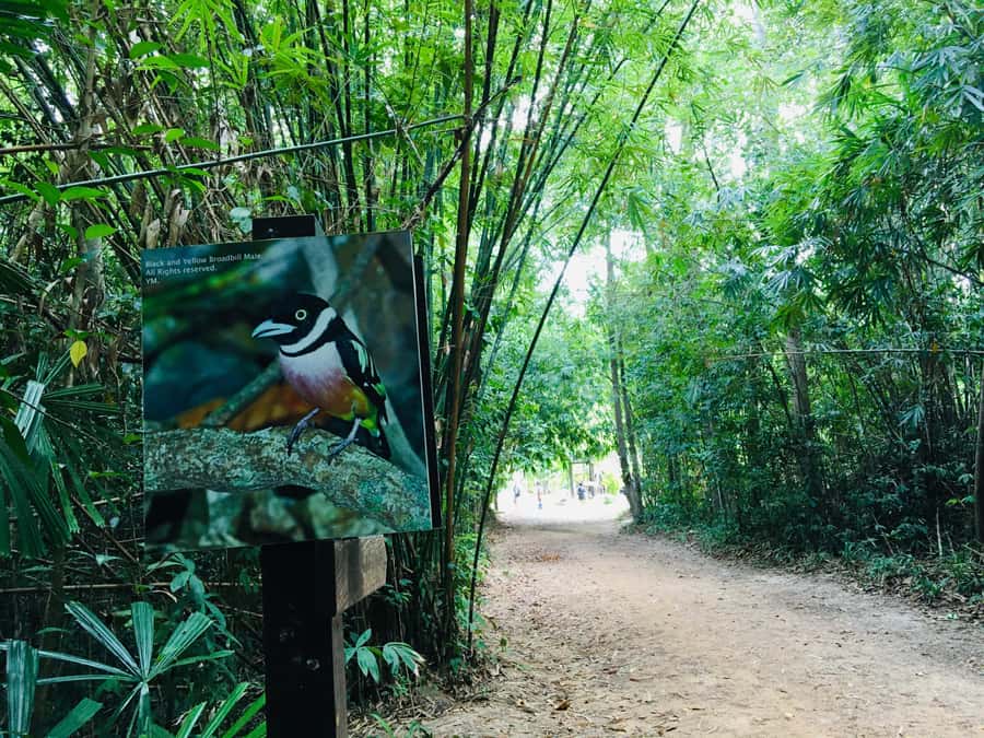 Krabi: Emerald Pool and Hot Spring Waterfall with ATV Riding - Hotel pickup and the morning schedule