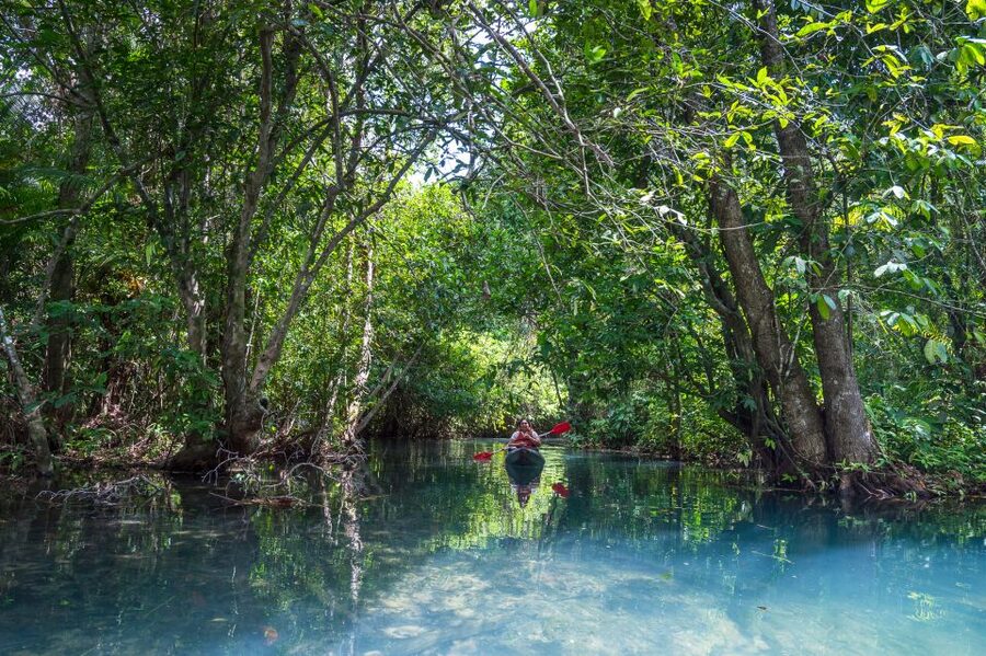 Krabi: Half-Day Blue Lagoon Kayaking at Klong Srakaew & ATV - Kayaking through Klong Srakaew’s clear pools