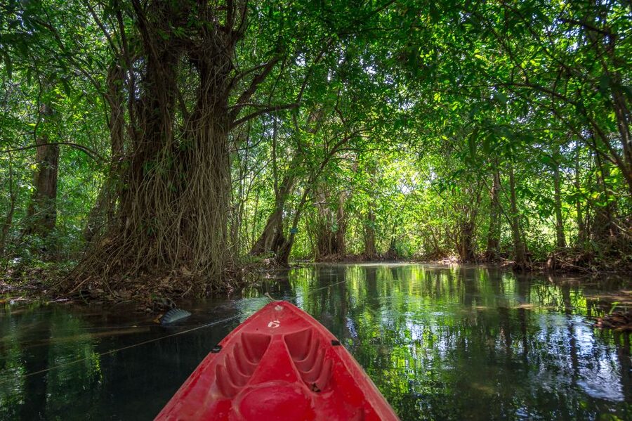 Krabi: Half-Day Blue Lagoon Kayaking at Klong Srakaew & ATV - Lunch and the value of the $89 price