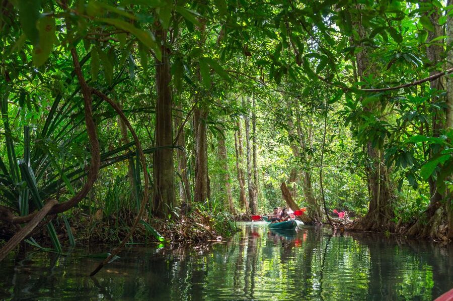 Krabi: Half-Day Blue Lagoon Kayaking at Klong Srakaew & ATV - Guides, photos, and how the day feels