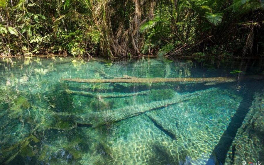 Krabi: Khlong Nam Sai Lagoon with Kayaking & Optional ATV - Paddling through rainforest, farms, and orchids