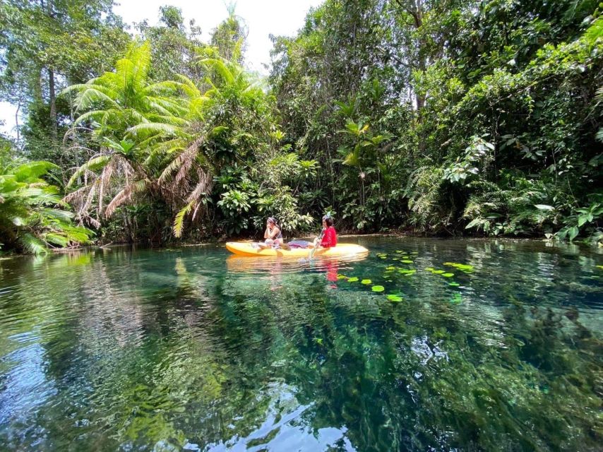 Krabi: Khlong Nam Sai Lagoon with Kayaking & Optional ATV - What the kayaking feels like in practice