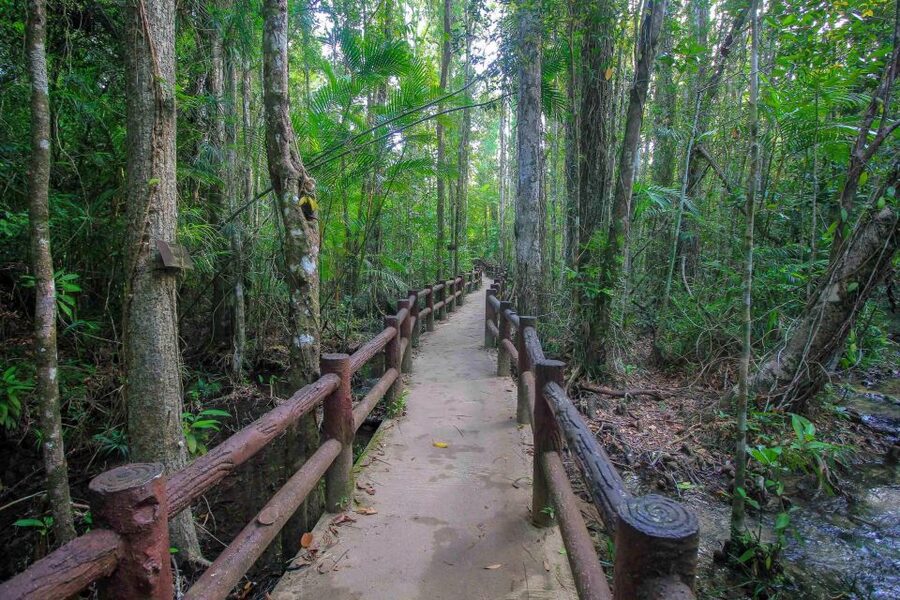 Krabi Outback Explorer with Thrilling ATV Ride - The Blue Pool and the importance of the breeding season