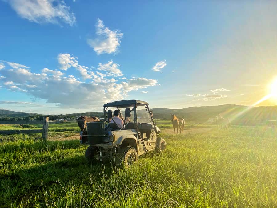Kuranda: Quad Ride Bike and petting farm - What the KUR-Cow Farm experience is really like